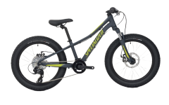 Specialized Small Kids Bike (20")